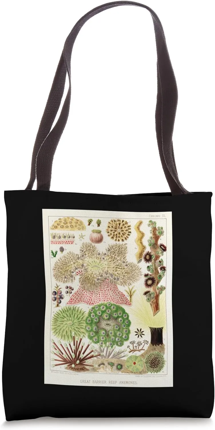 Barrier Reef Anemone Scientific Drawing Vintage Illustration Tote Bag