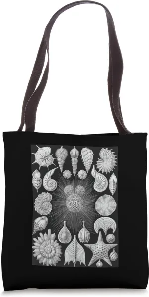 Biology Thalamophora Seashells Scientific Haeckel Tote Bag