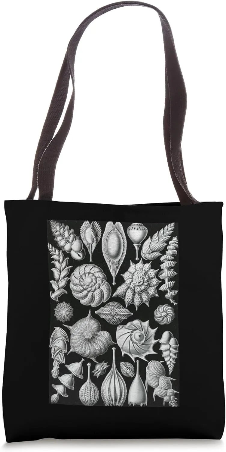 Biology Thalamophora Seashells Scientific Haeckel Tote Bag