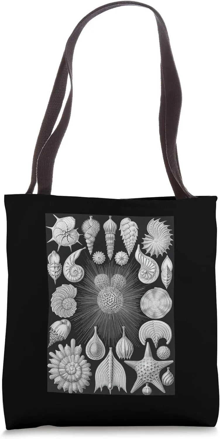 Biology Thalamophora Seashells Scientific Haeckel Tote Bag