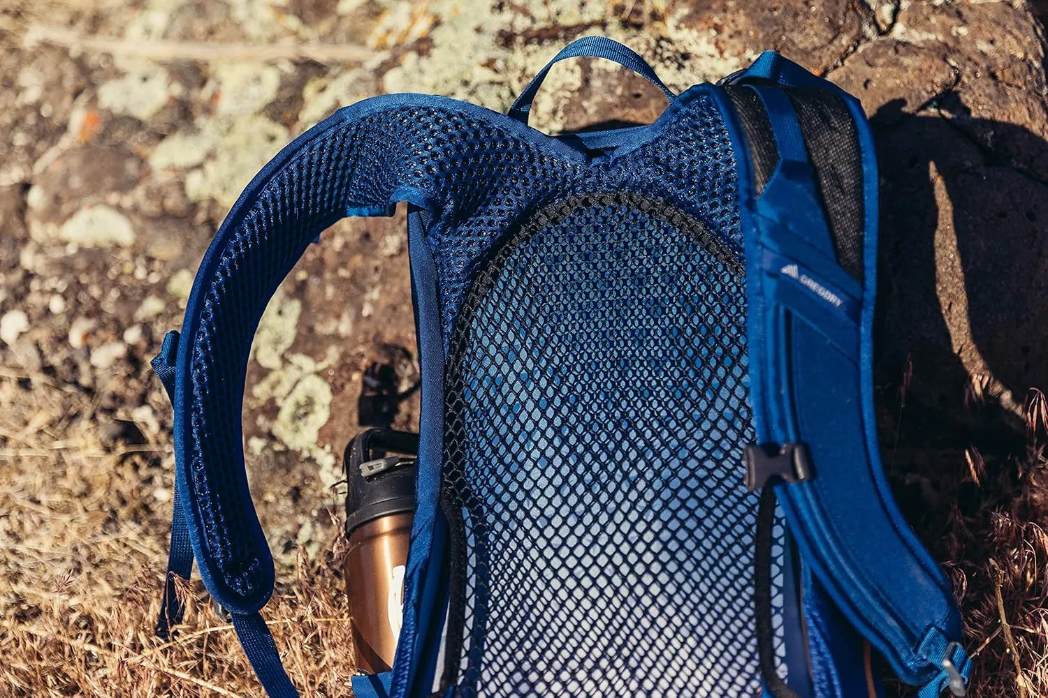 Gregory Arrio 22L Unisex Day Hiking Backpack with Ventilated Backpanel and Built-in Hydration Attachment (Reservoir Not Included), One Size Fits All, Brick Red