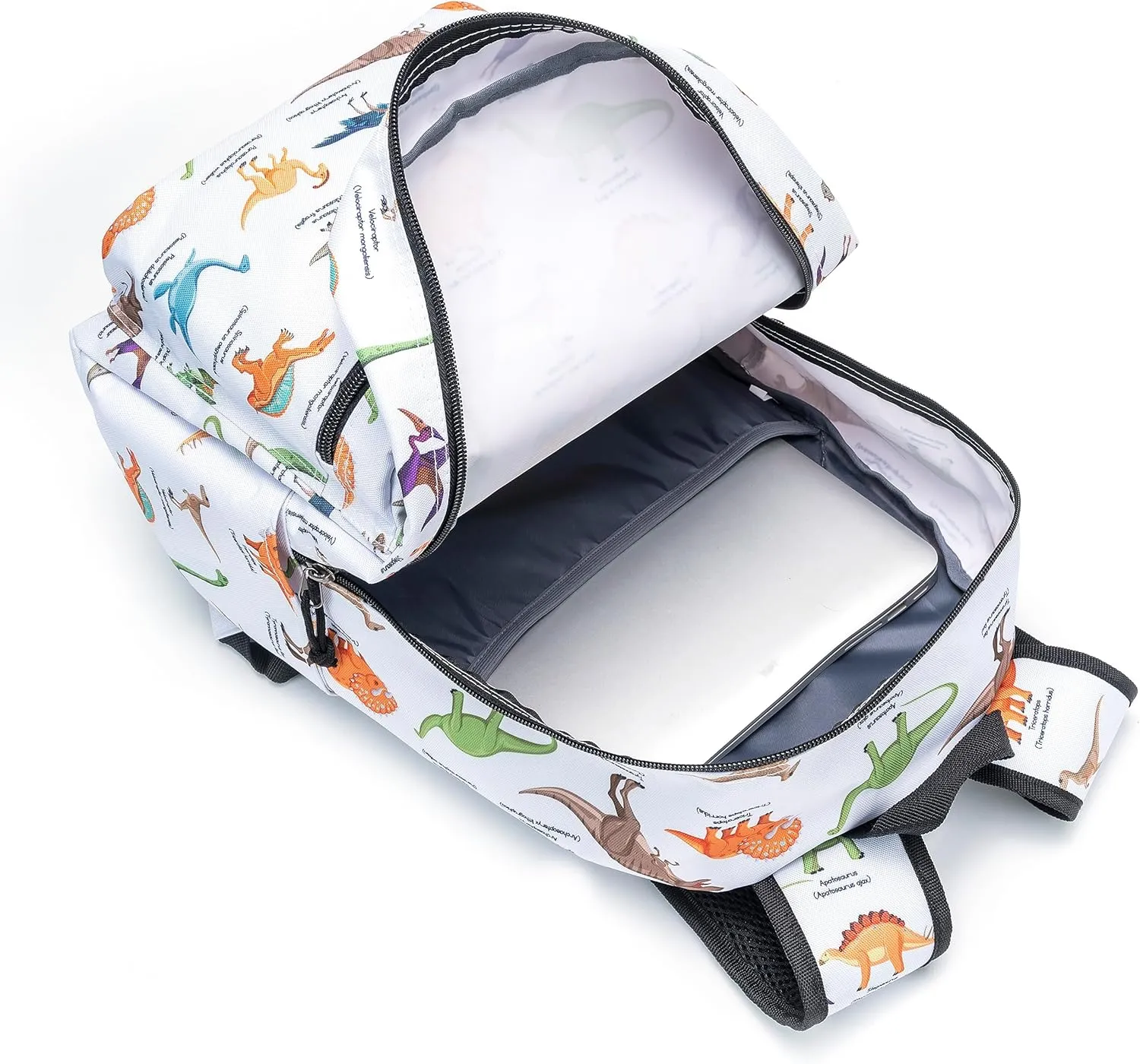 K-Cliffs Classic Backpack Basic Student Campus Daypack Simple Travel Rucksack with Chromebook Laptop Pocket Water Bottle Holder Padded Straps Printed Dinosaur Pattern White