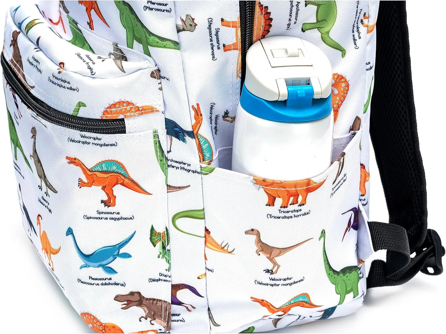 K-Cliffs Classic Backpack Basic Student Campus Daypack Simple Travel Rucksack with Chromebook Laptop Pocket Water Bottle Holder Padded Straps Printed Dinosaur Pattern White