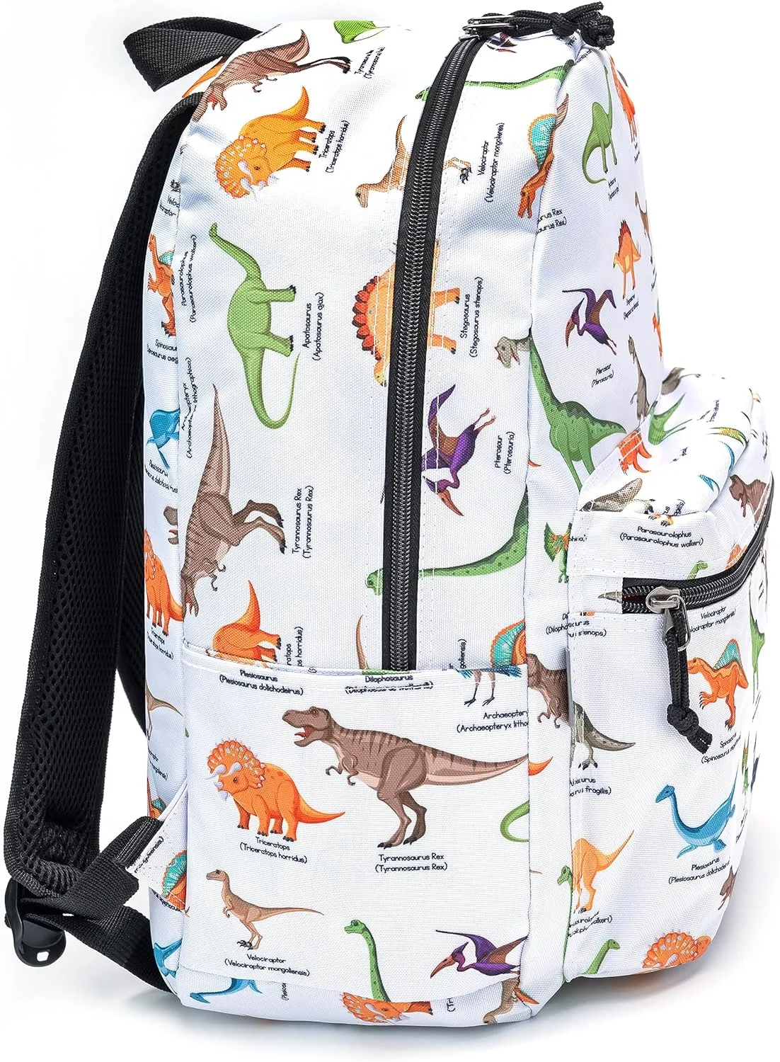 K-Cliffs Classic Backpack Basic Student Campus Daypack Simple Travel Rucksack with Chromebook Laptop Pocket Water Bottle Holder Padded Straps Printed Dinosaur Pattern White