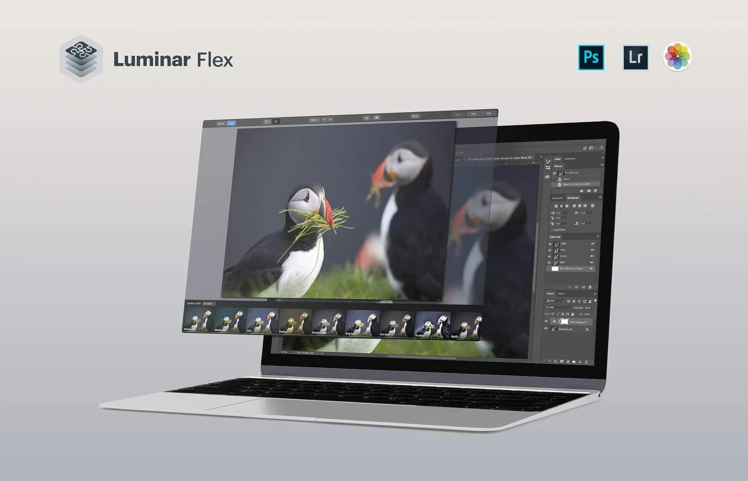 Luminar Flex - AI-Powered Photo Editing Plug-in | Professional Image Editing Plugin for Photoshop, Lightroom Classic, Photoshop Elements, Photos for MacOS and Apple Aperture