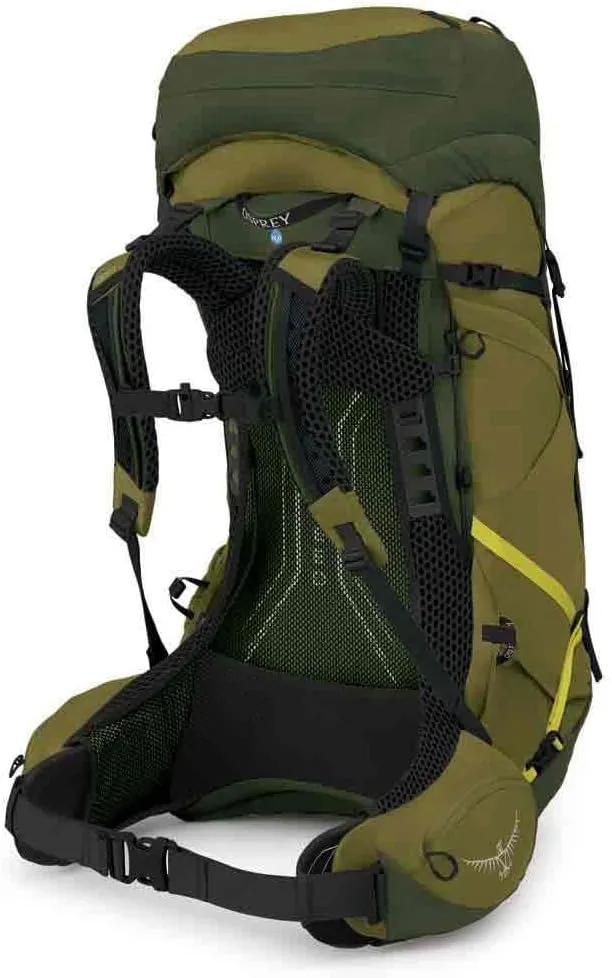 Osprey Atmos AG LT 50L Men's Backpacking Backpack, Scenic Valley/Green Peppercorn, L/XL