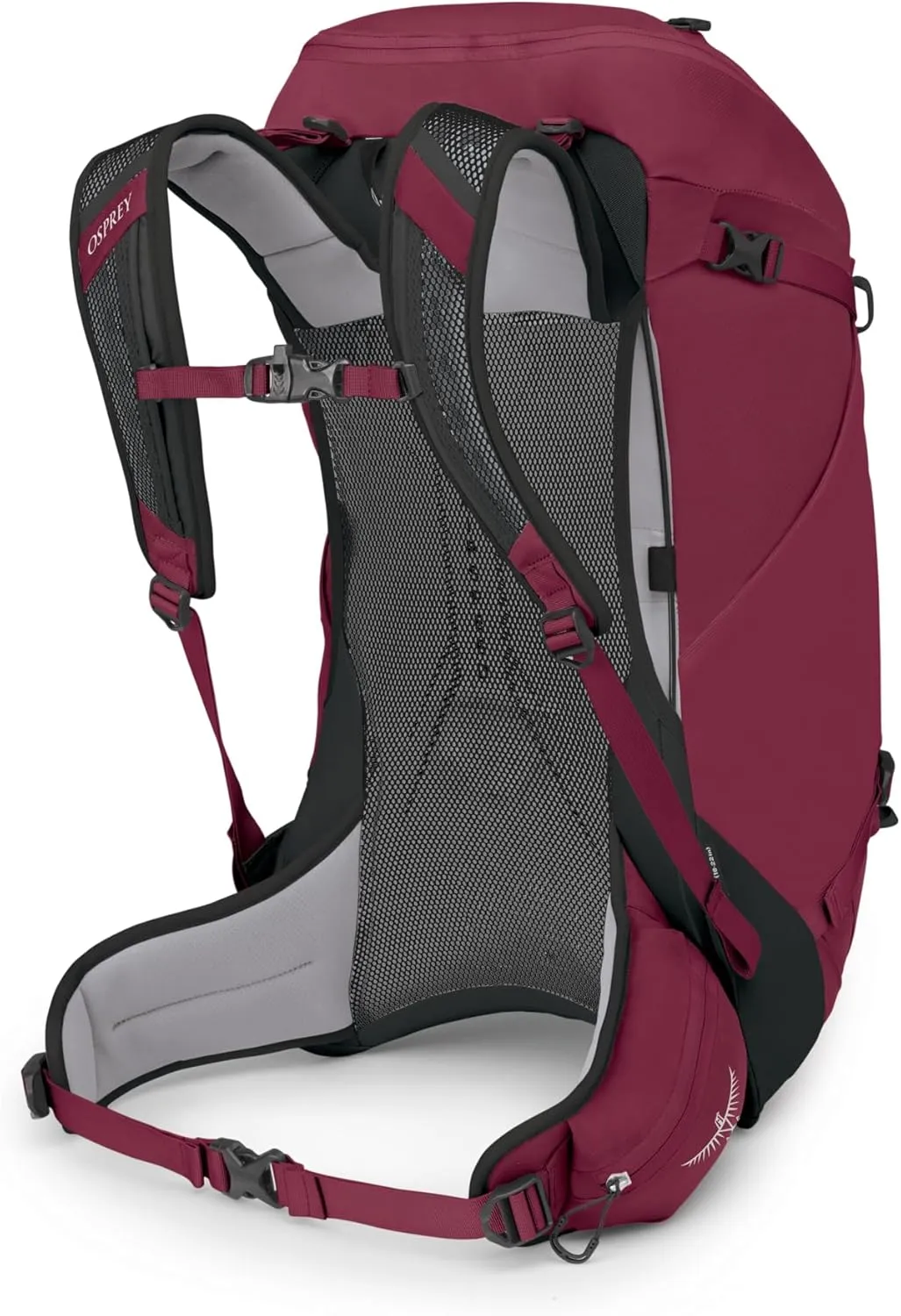Osprey Hikelite 32L Unisex Hiking Backpack, Chameleon/Black, M/L