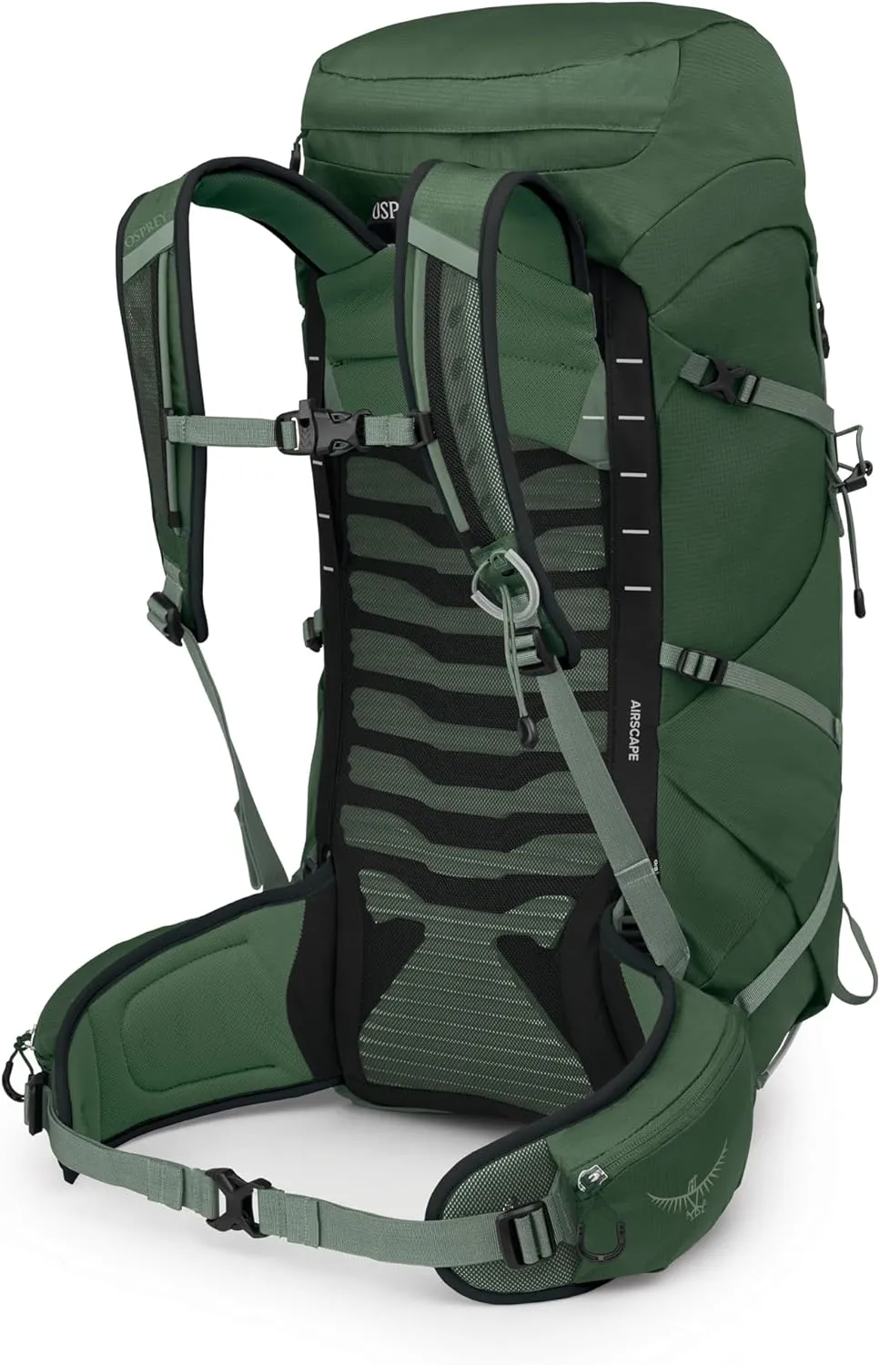 Osprey Talon 33L Men's Lightweight Hiking Backpack with Hipbelt, Green Canopy/Pine Leaf