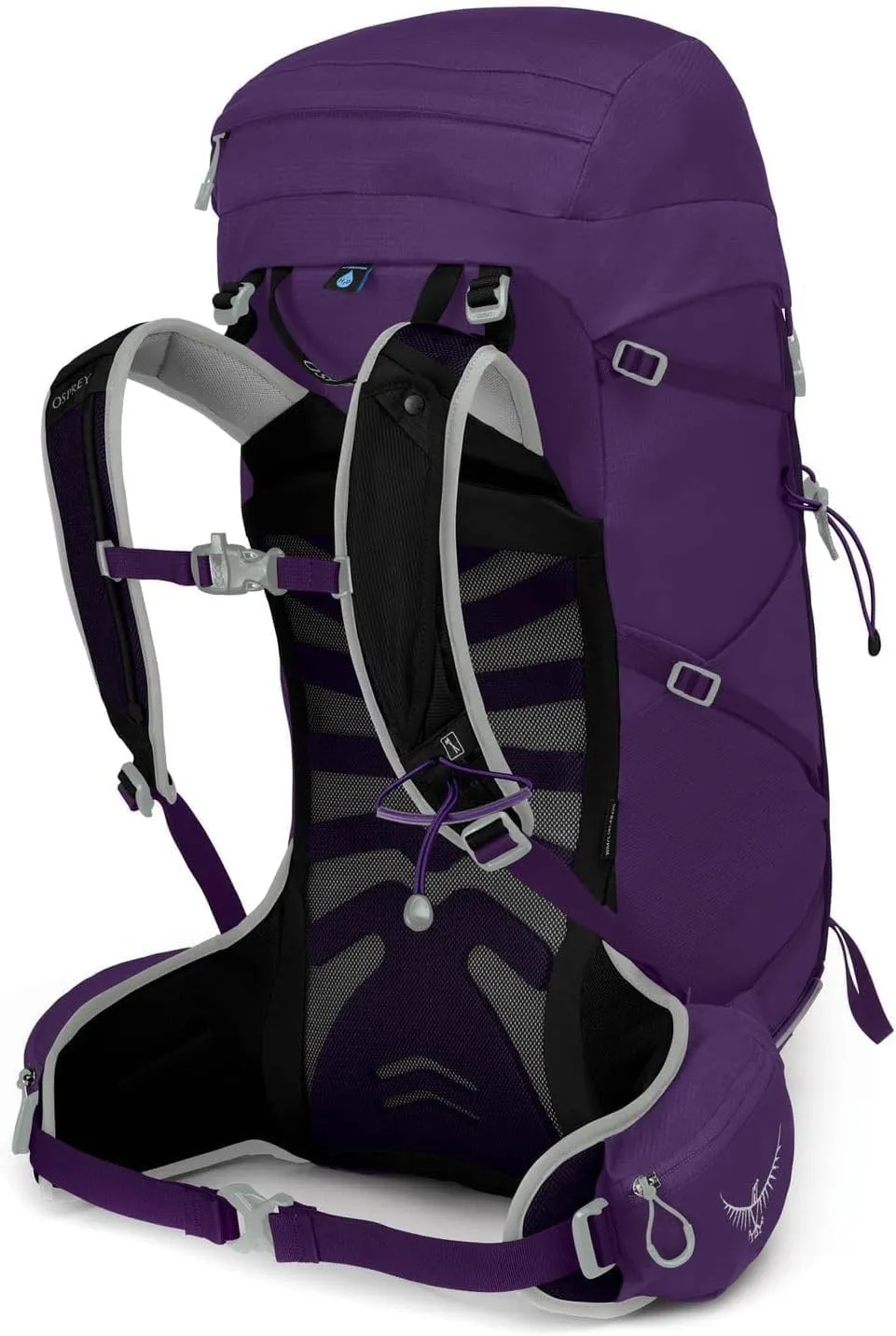 Osprey Tempest 30L Women's Hiking Backpack with Hipbelt, Violac Purple, WXS/S