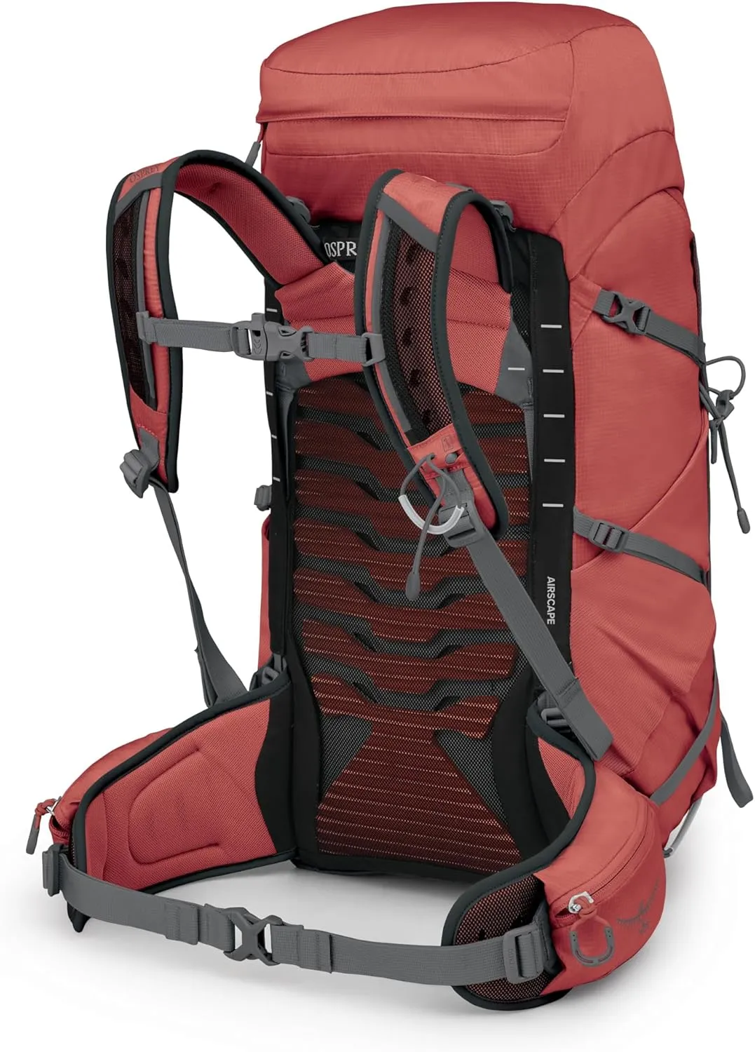 Osprey Tempest 33L Women's Lightweight Hiking Backpack with Hipbelt, Red Pampas/Coal Grey